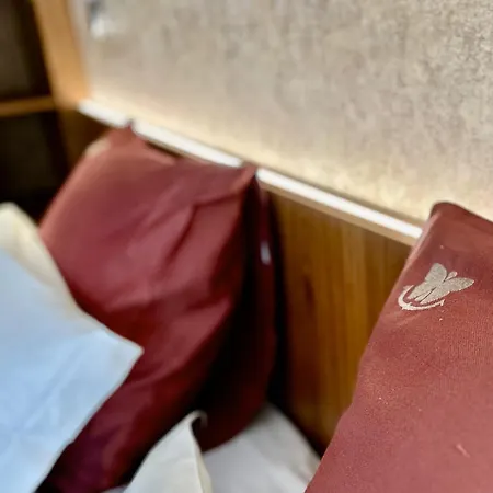 Campagnola 3*